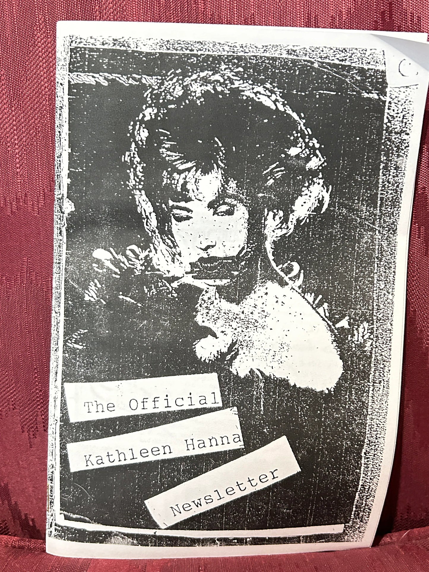⚡️ KATHLEEN HANNA'S ZINES: Riot Grrrl Revival Collectible Zine Pack (4 Zines) ⚡️