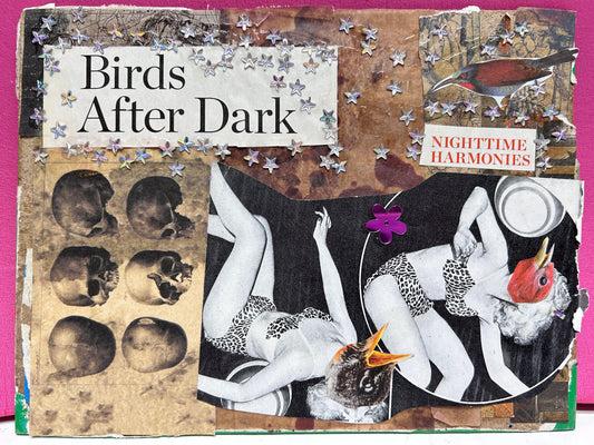 Birds After Dark {Original Collage}