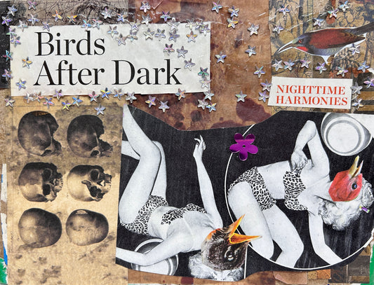 Birds After Dark {Original Collage}