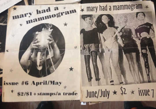 Riot Grrrl Nostalgia zine grab bag #NINETEEN